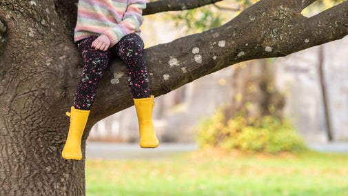 The legs of a child in bright yellow wellington boots are seen dangling from an autumnal tree at Penrhyn Castle